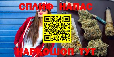 бошки Сланцы