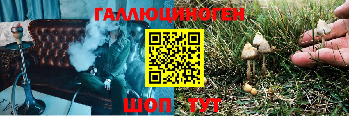 Псилоцибиновые грибы ЛСД Усть-Джегута