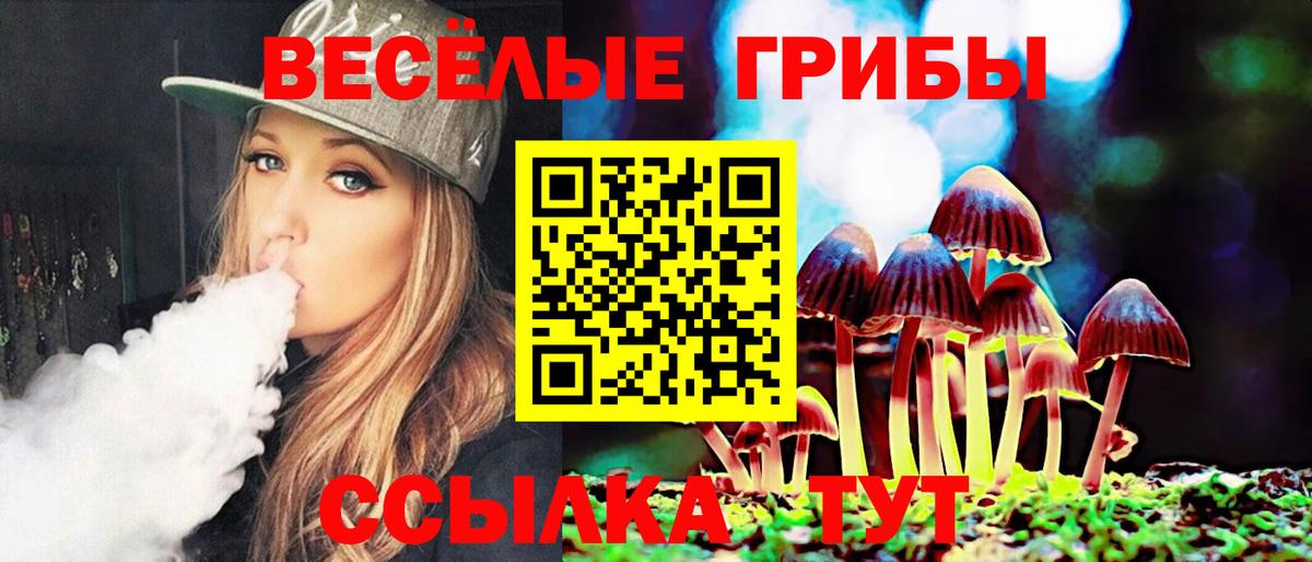 Галлюциногенные грибы Psilocybine cubensis  Вход с VPN  Усть-Джегута 